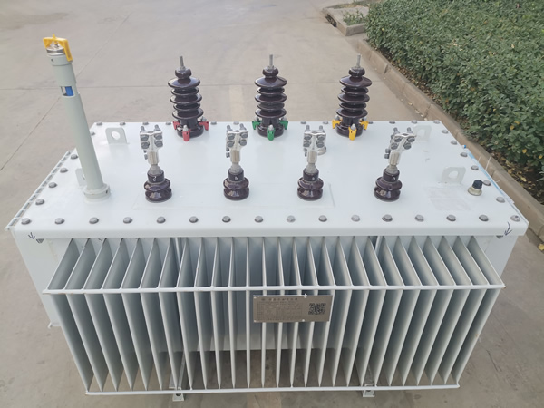 10KV油浸SH(B)15非晶合金變壓器 (2).jpg